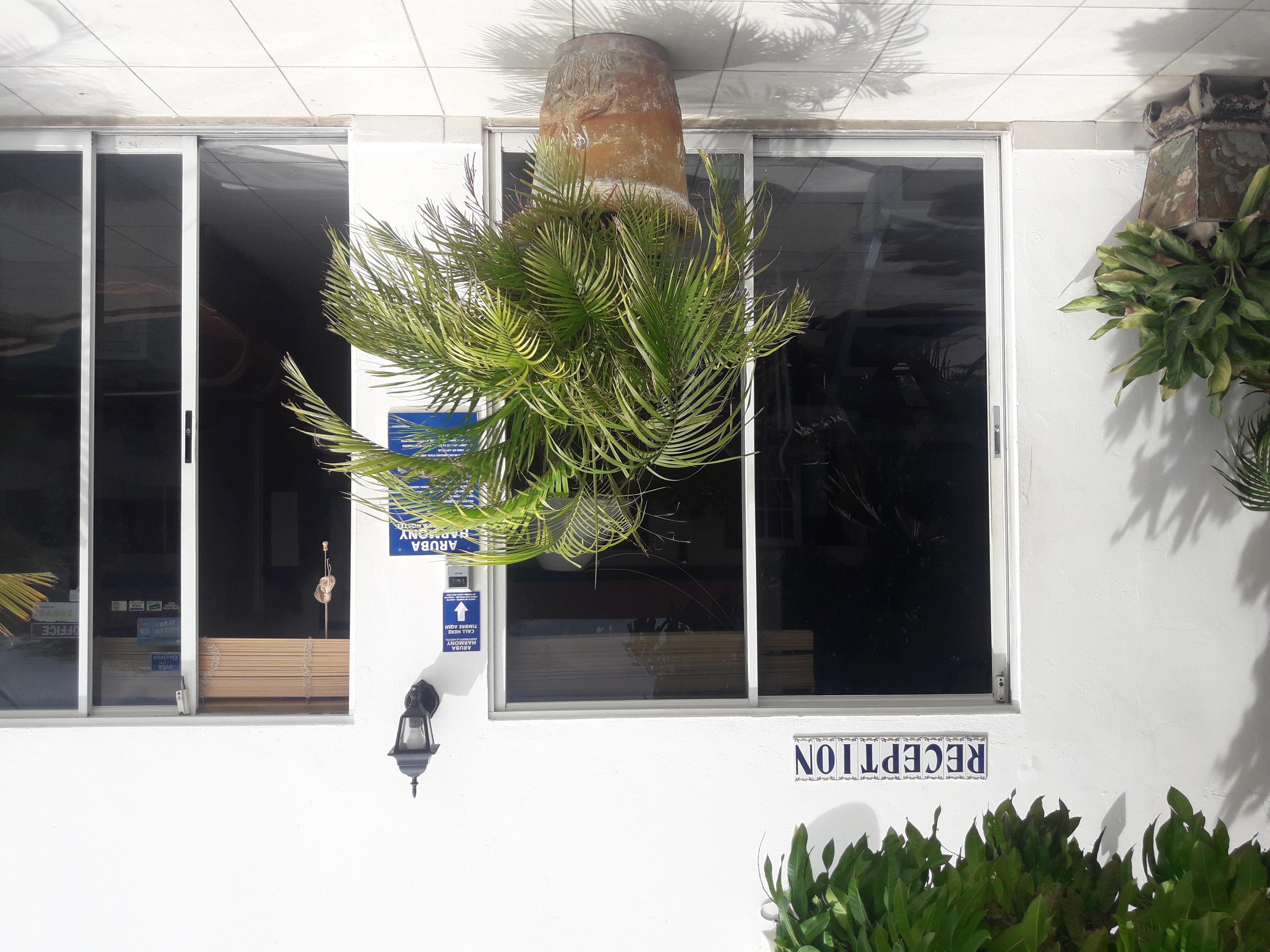 Palmita Hotel Hostel โอรันเยสตัด ภายนอก รูปภาพ